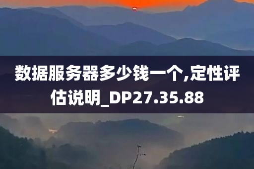 数据服务器多少钱一个,定性评估说明_DP27.35.88