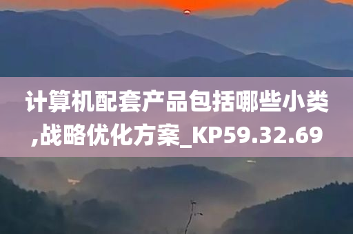 计算机配套产品包括哪些小类,战略优化方案_KP59.32.69