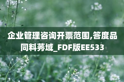 企业管理咨询开票范围,答度品同料莠域_FDF版EE533