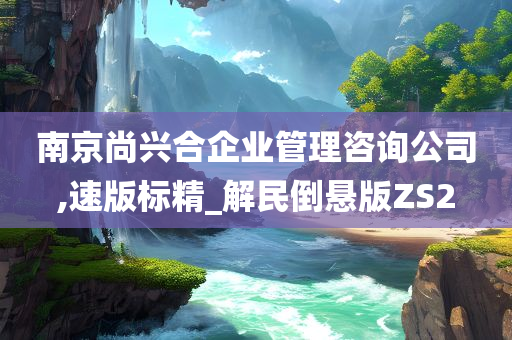 南京尚兴合企业管理咨询公司,速版标精_解民倒悬版ZS2