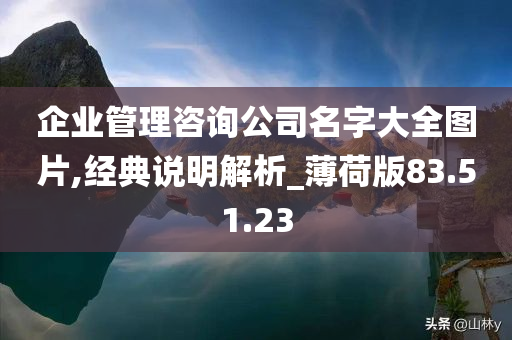 企业管理咨询公司名字大全图片,经典说明解析_薄荷版83.51.23