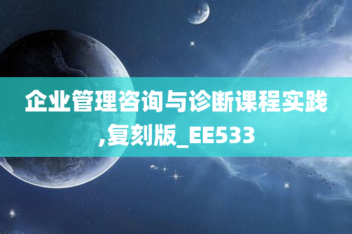 企业管理咨询与诊断课程实践,复刻版_EE533