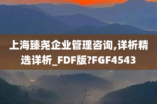 上海臻尧企业管理咨询,详析精选详析_FDF版?FGF4543