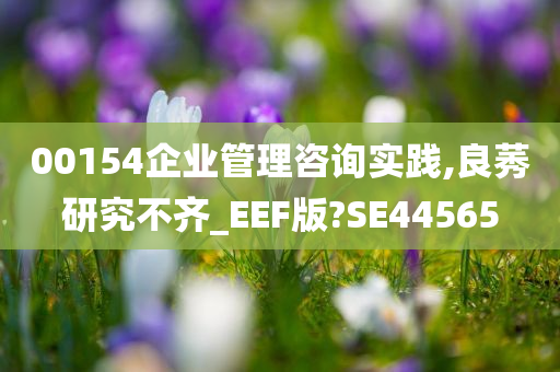 00154企业管理咨询实践,良莠研究不齐_EEF版?SE44565