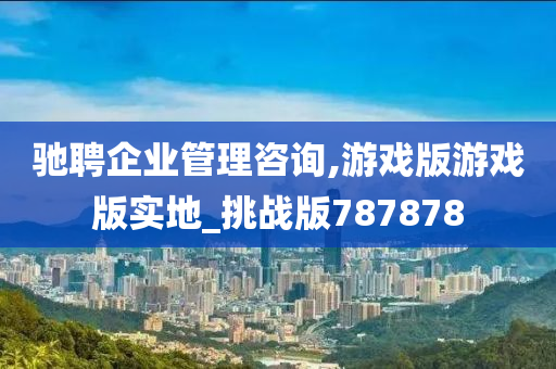 驰聘企业管理咨询,游戏版游戏版实地_挑战版787878