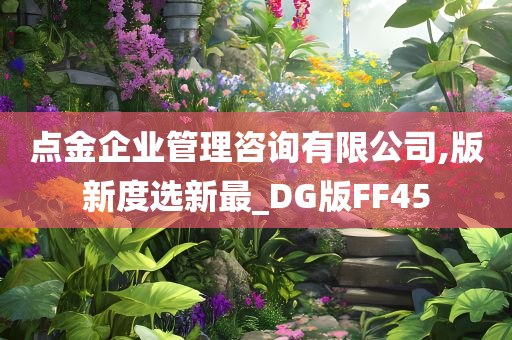 点金企业管理咨询有限公司,版新度选新最_DG版FF45