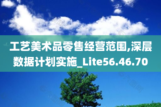 工艺美术品零售经营范围,深层数据计划实施_Lite56.46.70