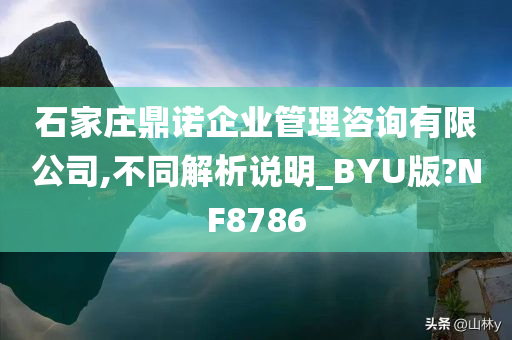 石家庄鼎诺企业管理咨询有限公司,不同解析说明_BYU版?NF8786