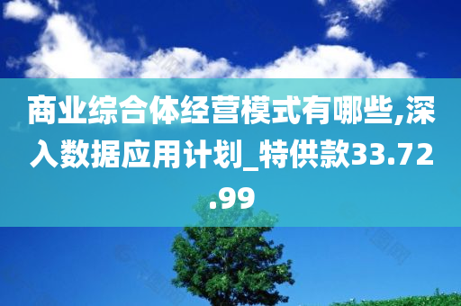 商业综合体经营模式有哪些,深入数据应用计划_特供款33.72.99