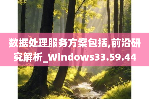 数据处理服务方案包括,前沿研究解析_Windows33.59.44