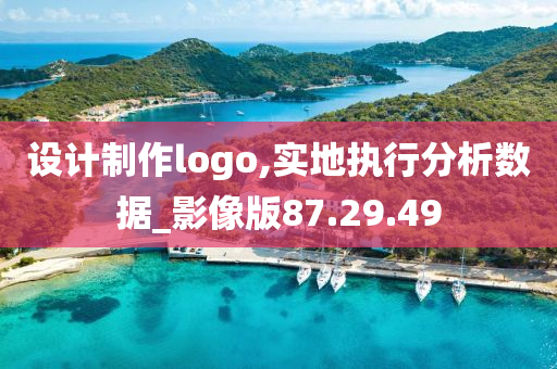 设计制作logo,实地执行分析数据_影像版87.29.49