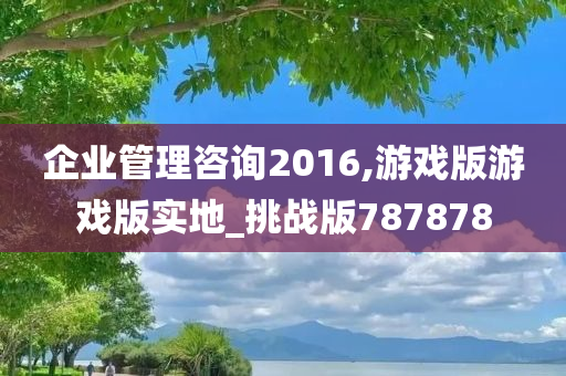 企业管理咨询2016,游戏版游戏版实地_挑战版787878