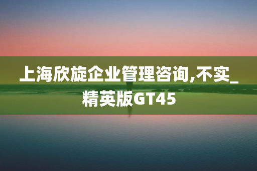 上海欣旋企业管理咨询,不实_精英版GT45