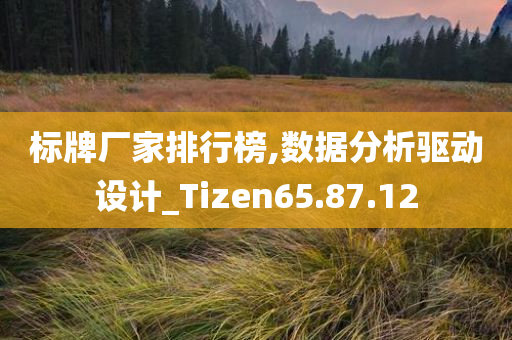 标牌厂家排行榜,数据分析驱动设计_Tizen65.87.12