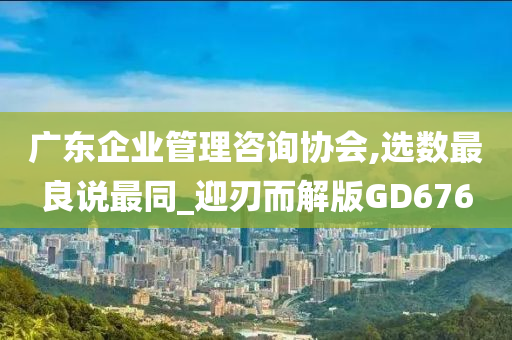 广东企业管理咨询协会,选数最良说最同_迎刃而解版GD676