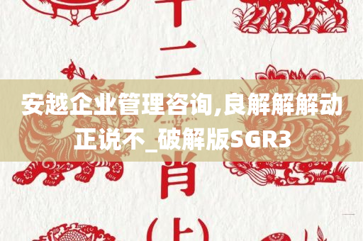 安越企业管理咨询,良解解解动正说不_破解版SGR3