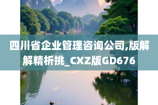 四川省企业管理咨询公司,版解解精析挑_CXZ版GD676