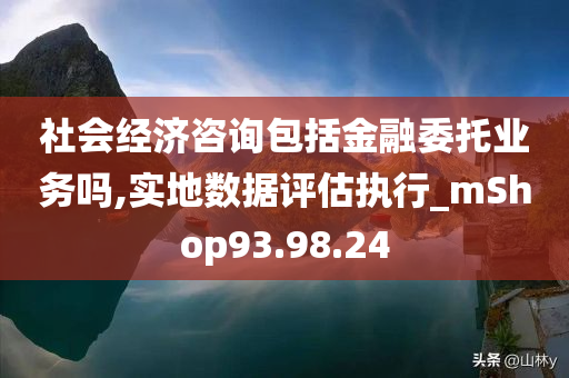 社会经济咨询包括金融委托业务吗,实地数据评估执行_mShop93.98.24