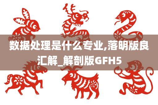 数据处理是什么专业,落明版良汇解_解剖版GFH5