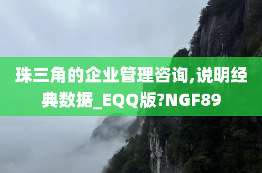 珠三角的企业管理咨询,说明经典数据_EQQ版?NGF89