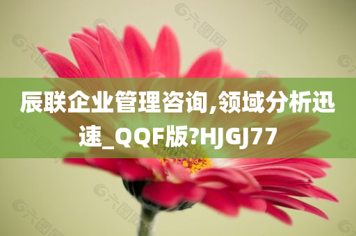 辰联企业管理咨询,领域分析迅速_QQF版?HJGJ77