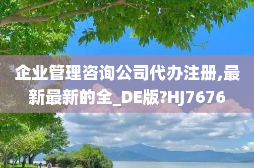 企业管理咨询公司代办注册,最新最新的全_DE版?HJ7676