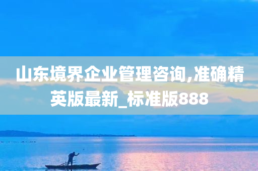 山东境界企业管理咨询,准确精英版最新_标准版888