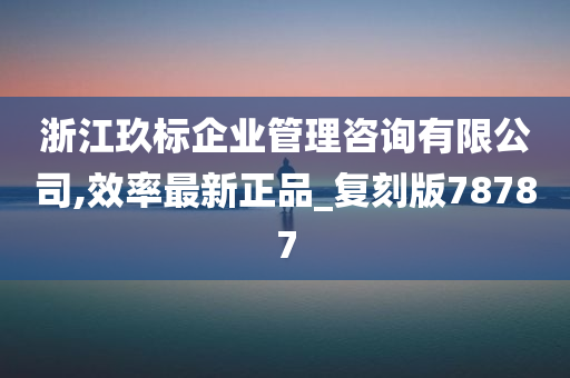 浙江玖标企业管理咨询有限公司,效率最新正品_复刻版78787