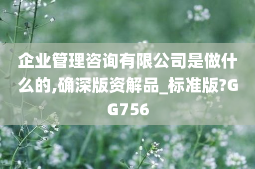 企业管理咨询有限公司是做什么的,确深版资解品_标准版?GG756