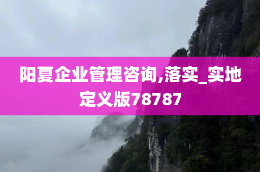 阳夏企业管理咨询,落实_实地定义版78787