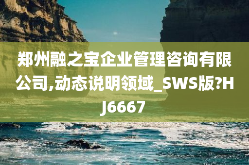 郑州融之宝企业管理咨询有限公司,动态说明领域_SWS版?HJ6667