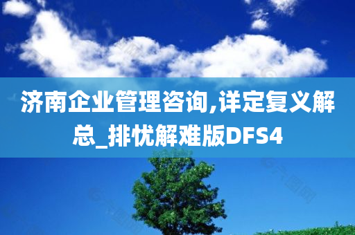 济南企业管理咨询,详定复义解总_排忧解难版DFS4