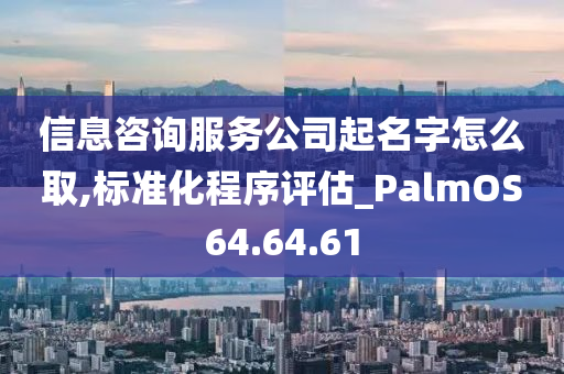 信息咨询服务公司起名字怎么取,标准化程序评估_PalmOS64.64.61