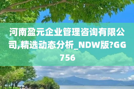 河南盈元企业管理咨询有限公司,精选动态分析_NDW版?GG756