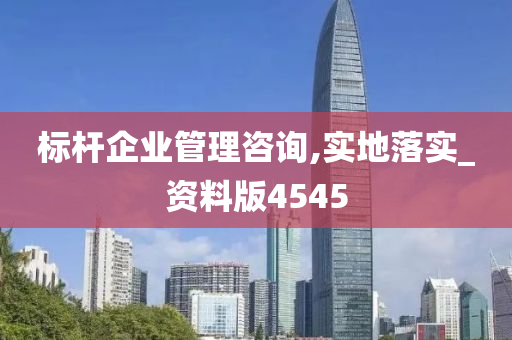 标杆企业管理咨询,实地落实_资料版4545