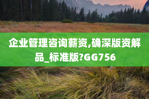 企业管理咨询薪资,确深版资解品_标准版?GG756