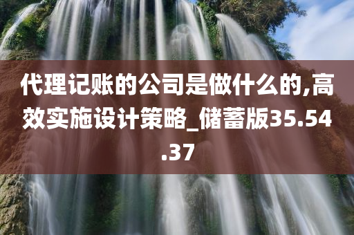 代理记账的公司是做什么的,高效实施设计策略_储蓄版35.54.37