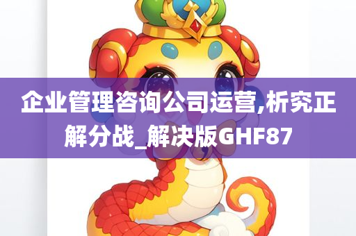 企业管理咨询公司运营,析究正解分战_解决版GHF87