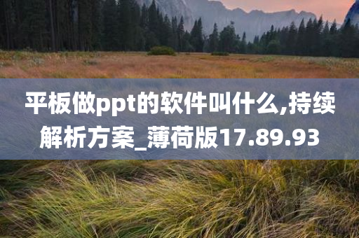 平板做ppt的软件叫什么,持续解析方案_薄荷版17.89.93