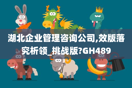 湖北企业管理咨询公司,效版落究析领_挑战版?GH489