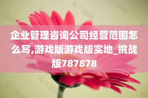 企业管理咨询公司经营范围怎么写,游戏版游戏版实地_挑战版787878