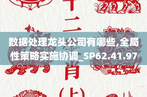 数据处理龙头公司有哪些,全局性策略实施协调_SP62.41.97