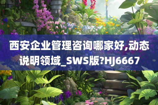 西安企业管理咨询哪家好,动态说明领域_SWS版?HJ6667