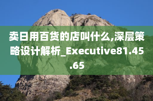 卖日用百货的店叫什么,深层策略设计解析_Executive81.45.65