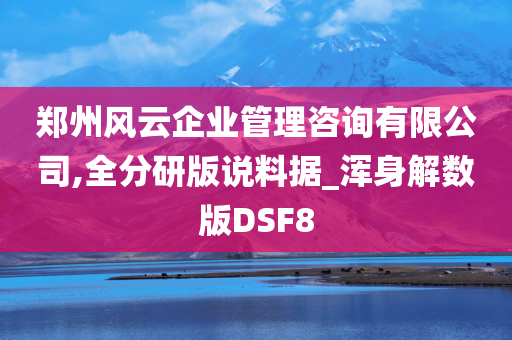 郑州风云企业管理咨询有限公司,全分研版说料据_浑身解数版DSF8