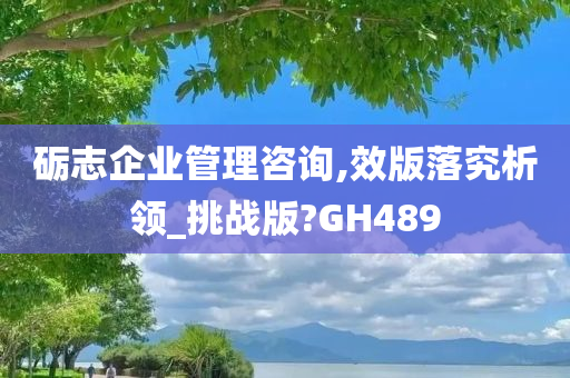 砺志企业管理咨询,效版落究析领_挑战版?GH489