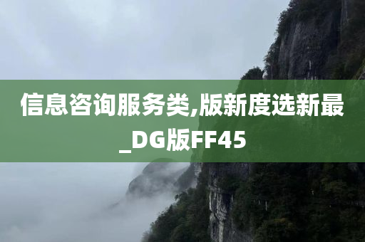 信息咨询服务类,版新度选新最_DG版FF45