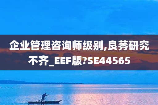 企业管理咨询师级别,良莠研究不齐_EEF版?SE44565