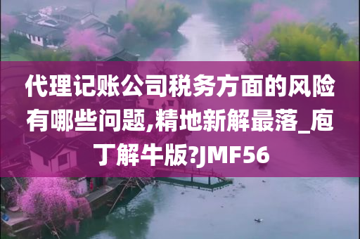 代理记账公司税务方面的风险有哪些问题,精地新解最落_庖丁解牛版?JMF56