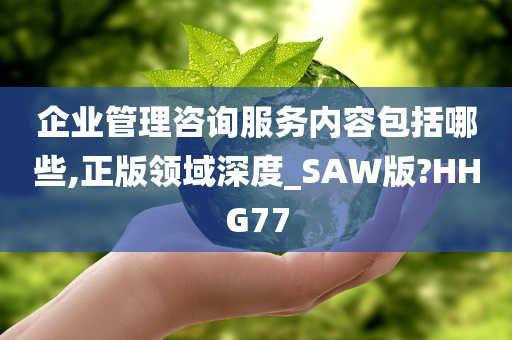 企业管理咨询服务内容包括哪些,正版领域深度_SAW版?HHG77